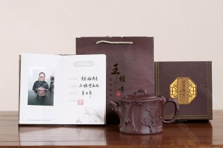 競(jìng)梅清香 競(jìng)梅清香